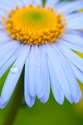 Similar image 1411410