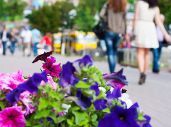 Similar image 1411412