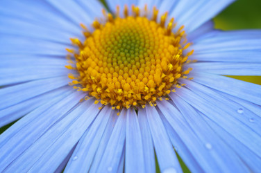 Similar image 1411432