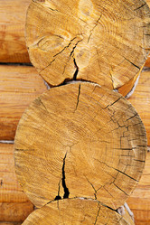 Similar image 1411569