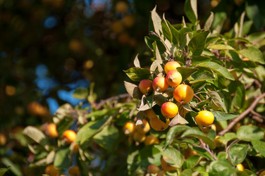 Similar image 1411572