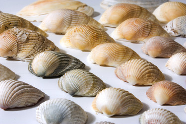 Similar image 1411595