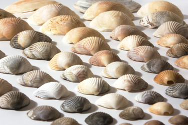 Similar image 1411596