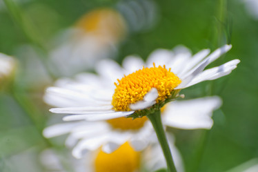 Similar image 1411710