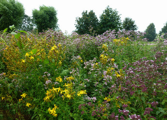 Similar image 1411713