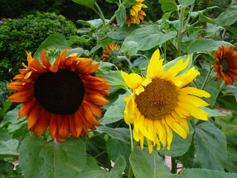 Similar image 1411714