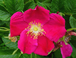 Similar image 1411717