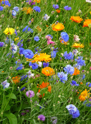 Similar image 1411718