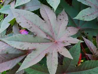 Similar image 1411719