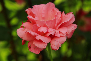 Similar image 1411721