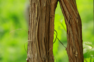 Similar image 1411723