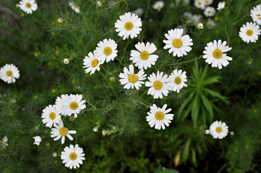 Similar image 1411743