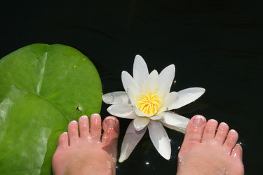 Similar image 1411744