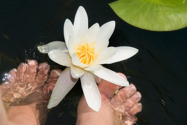 Similar image 1411745