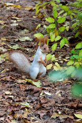 Similar image 1411746