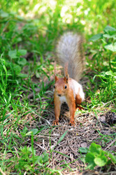 Similar image 1411761