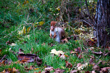 Similar image 1411763