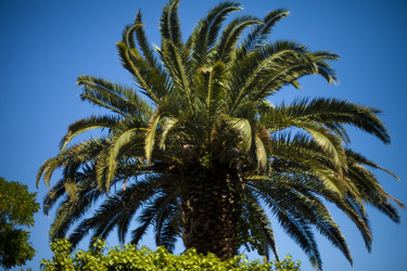 Similar image 1411767