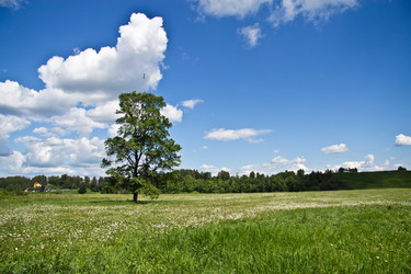 Similar image 1411770