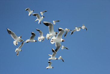 Similar image 1411796