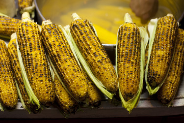 Similar image 1411798