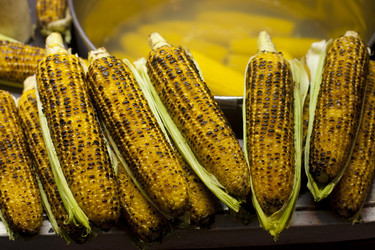 Similar image 1411799