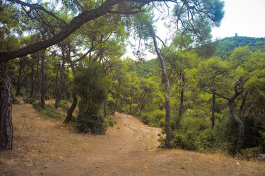 Similar image 1411813