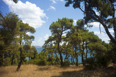 Similar image 1411814