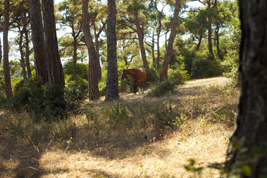 Similar image 1411815