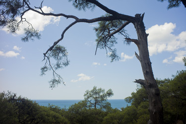 Similar image 1411816