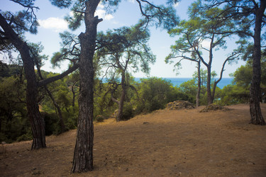 Similar image 1411817