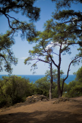 Similar image 1411818