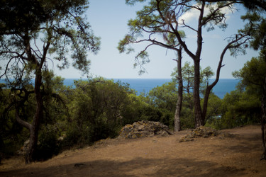 Similar image 1411819