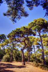 Similar image 1411822