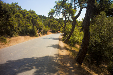 Similar image 1411823