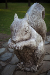 Similar image 1411834