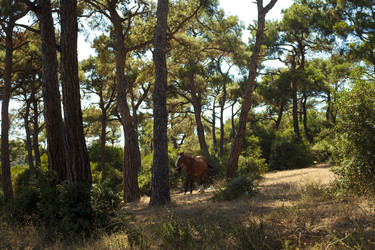 Similar image 1411842