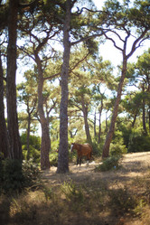 Similar image 1411844