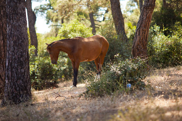 Similar image 1411846