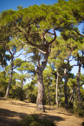 Similar image 1411847