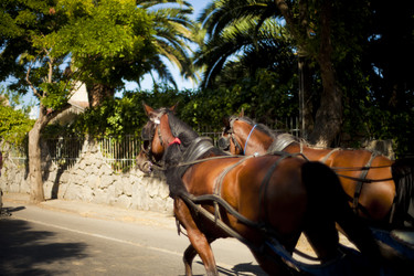 Similar image 1411849