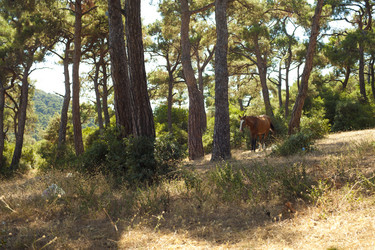 Similar image 1411850