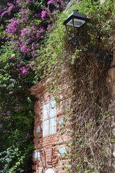 Similar image 1411906