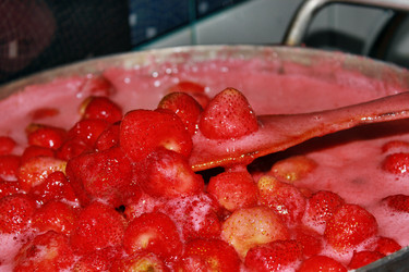 Similar image 1411915