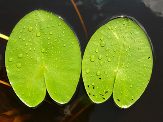 Similar image 1411923