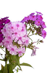 Similar image 1411956