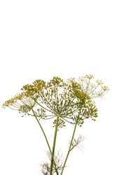 Similar image 1411959