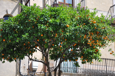 Similar image 1411965