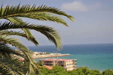 Similar image 1411967