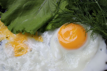 Similar image 1411995